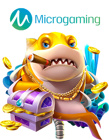 MicroGaming